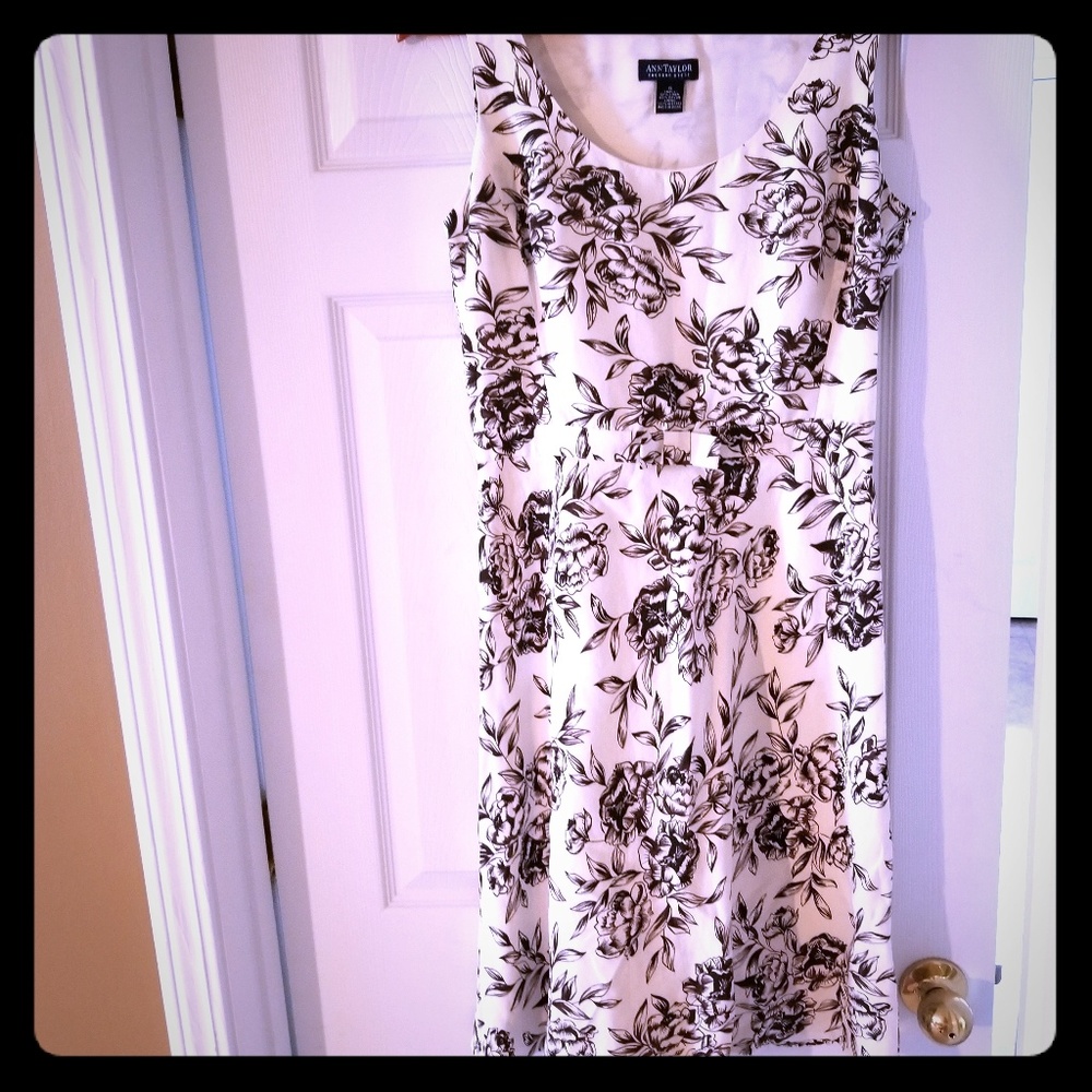 Anne Taylor Factory Floral Dress Size 6